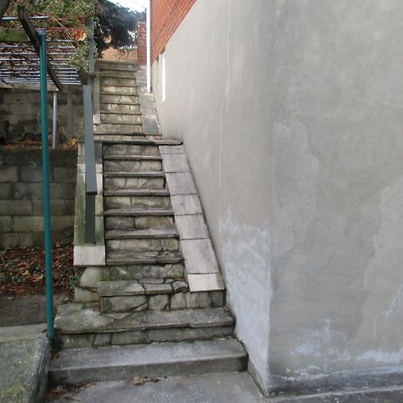 High Park Single Room With Personal Washroom And Kitchen Торонто Екстериор снимка