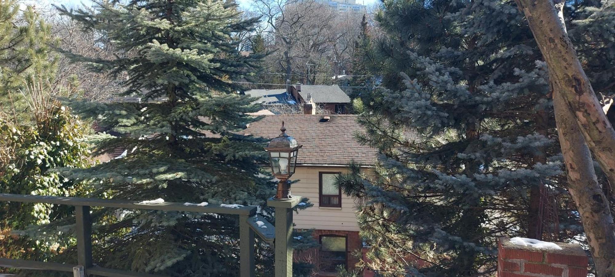 High Park Single Room With Personal Washroom And Kitchen Торонто Екстериор снимка