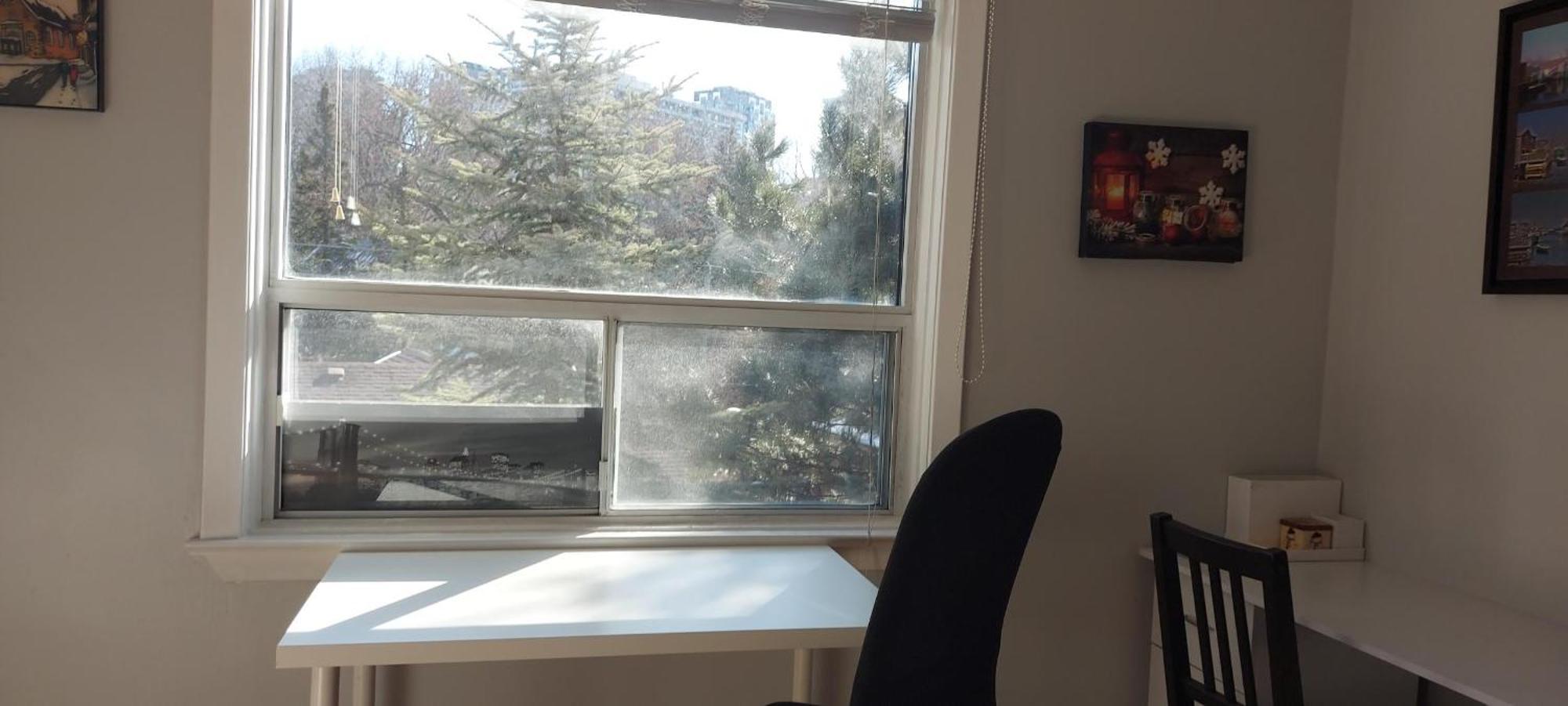 High Park Single Room With Personal Washroom And Kitchen Торонто Екстериор снимка